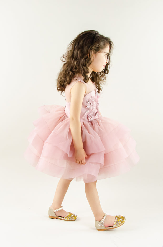 Dress for rent - Blush pink baby girl tutu dress with floral embroidery
