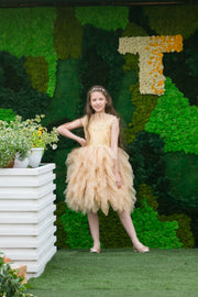 Unique, handmade beige gold girl tulle dress for special occasions, ruffled tulle skirt, ruffled neckline and satin top with flower and pearl embellishments, midi length