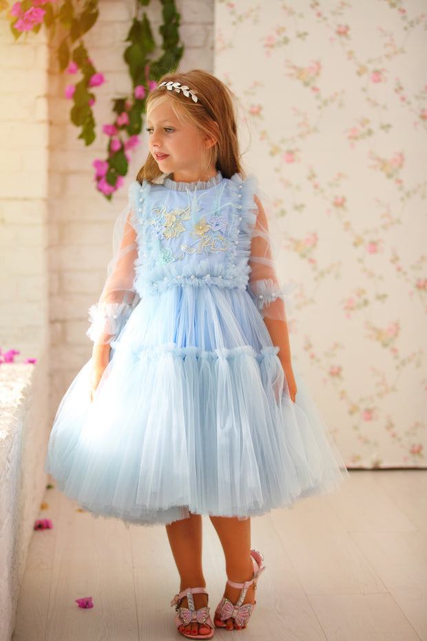 Princess girl dress in baby blue with a voluminous, multi-layer tulle skirt, long, transparent tulle sleeves and satin top with pastel coloured floral embroidery. For Special occasions: Wedding, Birthday party, Prom, Flower girl, Eid, and other events.