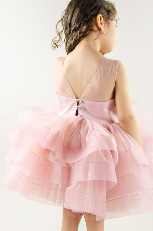 Dress for rent - Blush pink baby girl tutu dress with floral embroidery