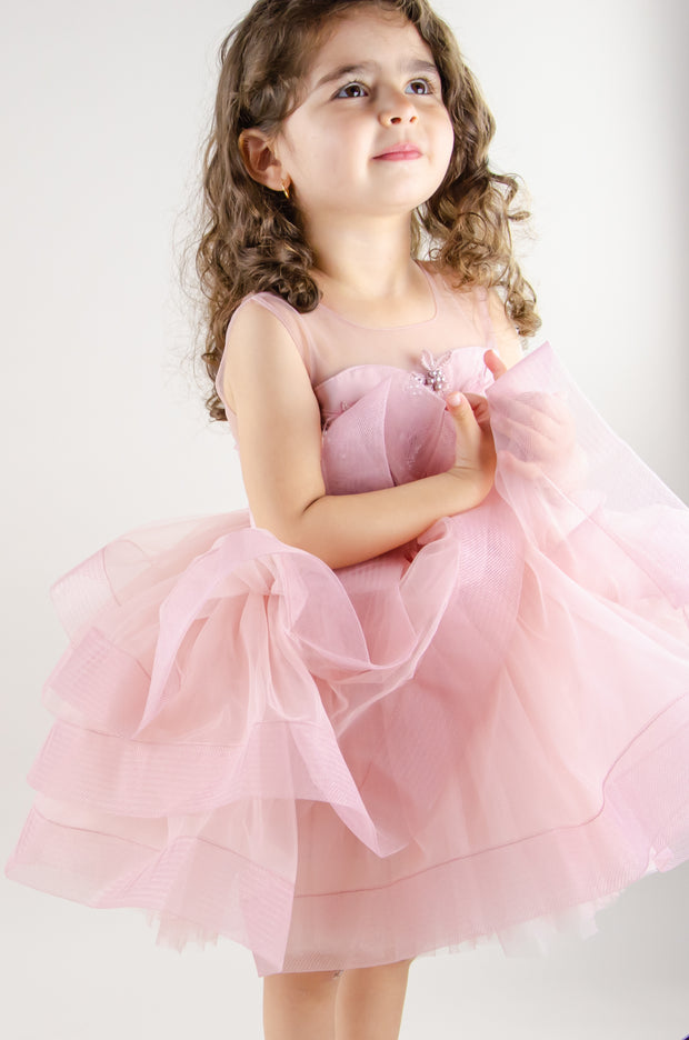 Dress for rent - Blush pink baby girl tutu dress with floral embroidery