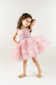 Dress for rent - Blush pink baby girl tutu dress with floral embroidery