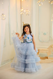 girl in the fancy dress for birthday party and other formal events