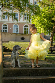 Bright yellow princess dress with a knee-length tulle skirt with ruffles and sleeveless pleated tulle top.