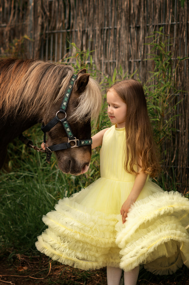 Bright yellow princess dress with a knee-length tulle skirt with ruffles and sleeveless pleated tulle top.