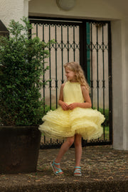 Bright yellow princess dress with a knee-length tulle skirt with ruffles and sleeveless pleated tulle top.