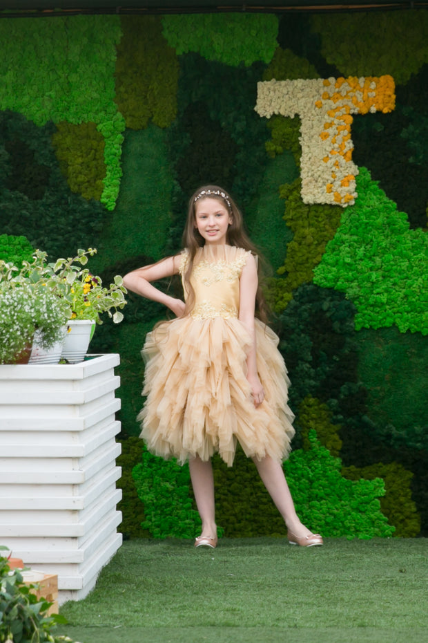 Unique, handmade beige gold girl tulle dress for special occasions, ruffled tulle skirt, ruffled neckline and satin top with flower and pearl embellishments, midi length