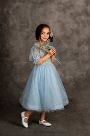 Baby blue princess sleeve kids dress with intricate embroidery tulle top and open back
