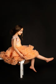 Princess dress in a salmon colour with ruffled tulle skirt