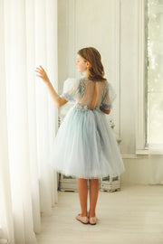 Baby blue princess sleeve midi girl dress with embroidered tulle top. Suitable for her Cinderella moment. Perfect for any special occasions: flower girls, weddings, birthday party, communion.