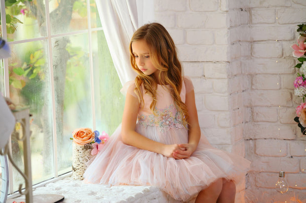 little girl dress with tulle skirt and waistline floral embellishment