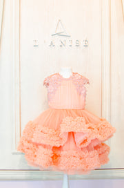 Knee-length multi-layered tulle princess girl dress in a bright salmon colour perfect your spring and summer special occasions: flower girls, weddings, birthday.